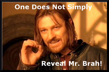 Reveal Mr Brah.jpg