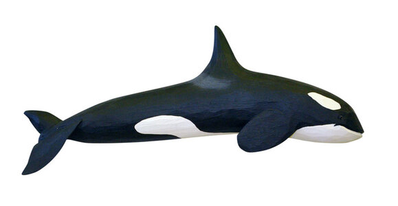 Orca_Whale_4ba933f431429.jpg