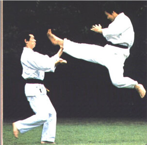 14462_Karate05-15-15.jpg