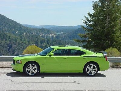 2007-dodge-charger-natural-beauty.jpg