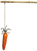 carrot_on_stick2.jpg