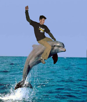 dolphin-lorin.jpg