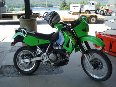 klr 650.jpg