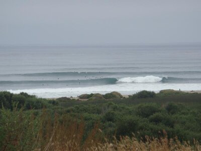 LOWERS 7-22-10.JPG