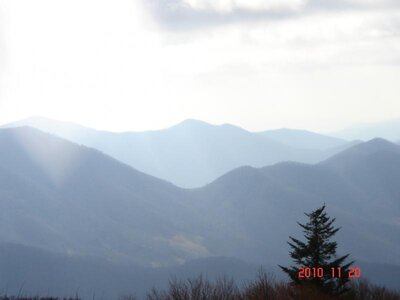 Roan Mtn Nov 20 2010 003.jpg