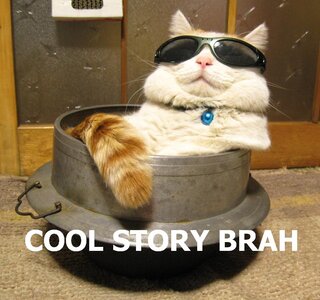 cool_story_brah_cat.jpg