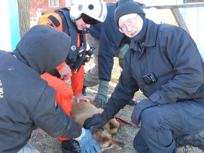 Rescue Dog-Kuzi 014.jpg