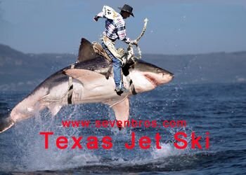 SharkSki.jpg