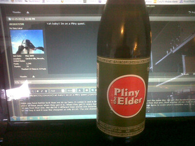 pliny.jpg